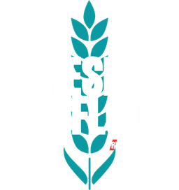 The Threshing Floor