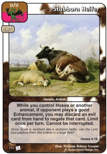 Stubborn Heifer