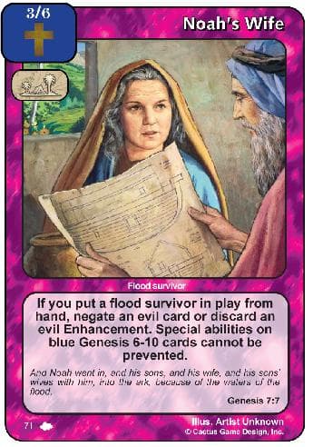 Noah's Wife